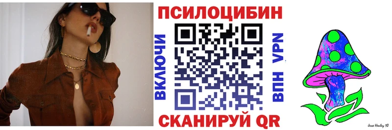 Псилоцибиновые грибы Psilocybe мега ссылка Ефремов