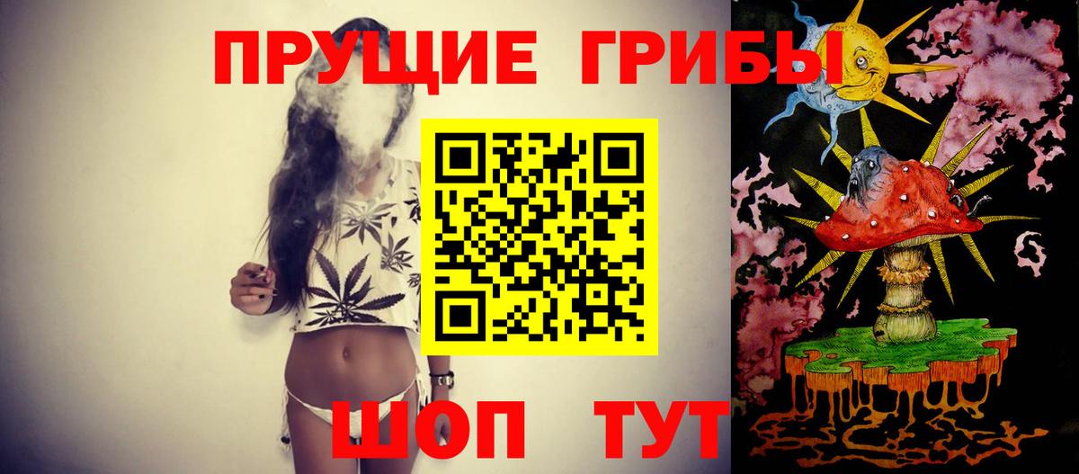 Галлюциногенные грибы Psilocybine cubensis Ефремов